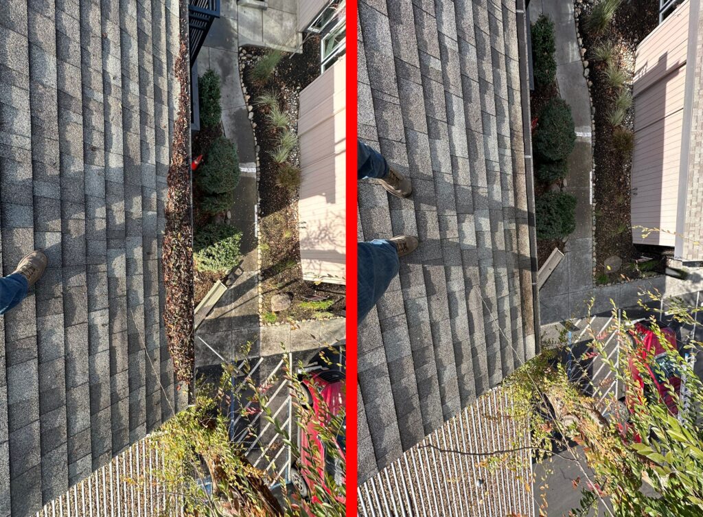 California gutter cleaning