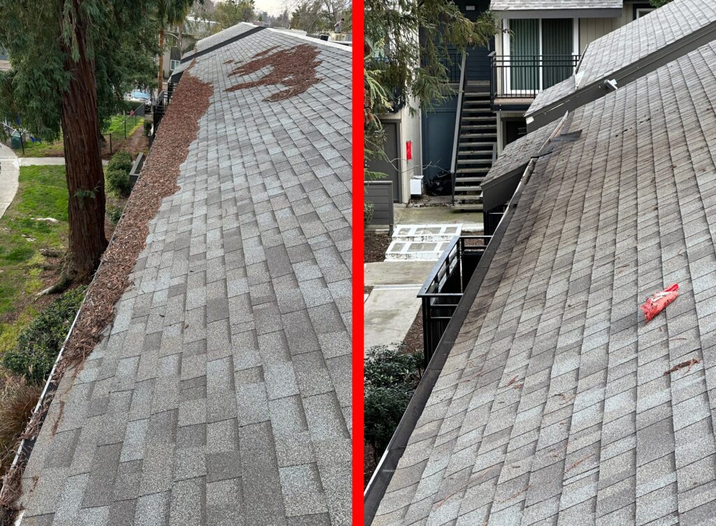 California gutter cleaning