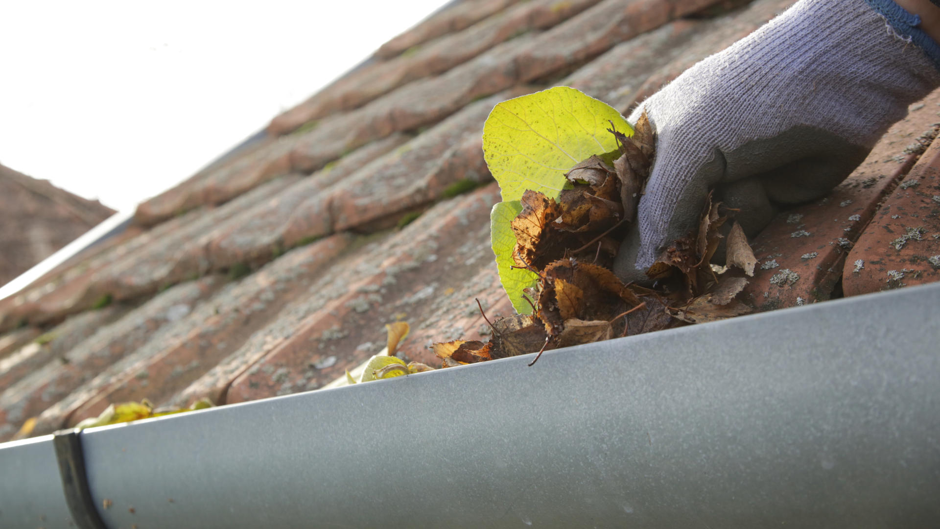 Person cleaning leaves from a gutter on a roof