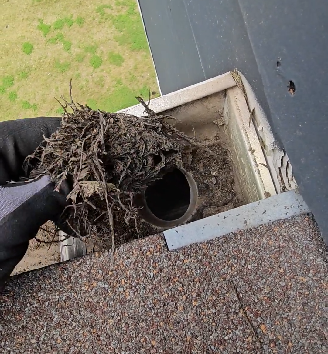 A clogged gutter & downspout.